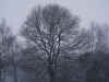 holtherbos snow II 0110