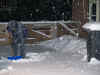 sneeuwschuivster 0110