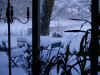 voorkant snowy 0110